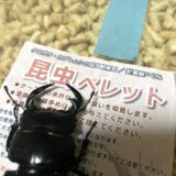 クワガタ成虫の管理マット、「ペレット＋水苔」最強説…？