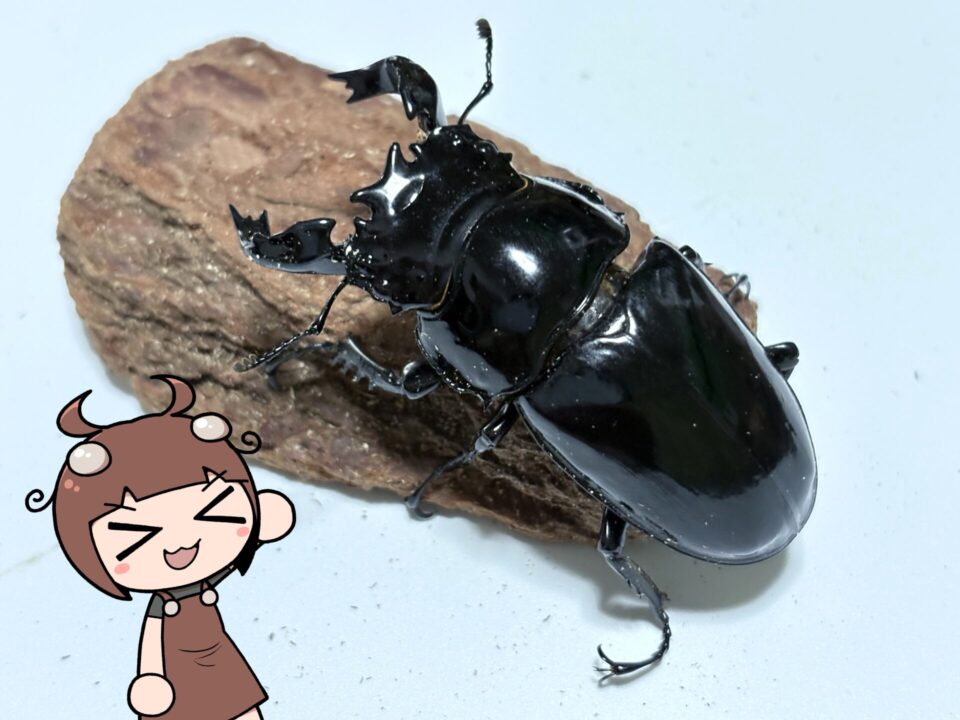 写真-2025-07-19-18-31-36-